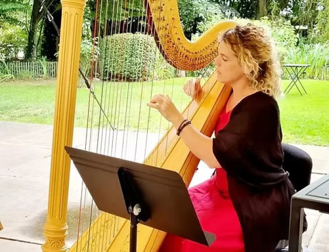 Harpiste tijdens event